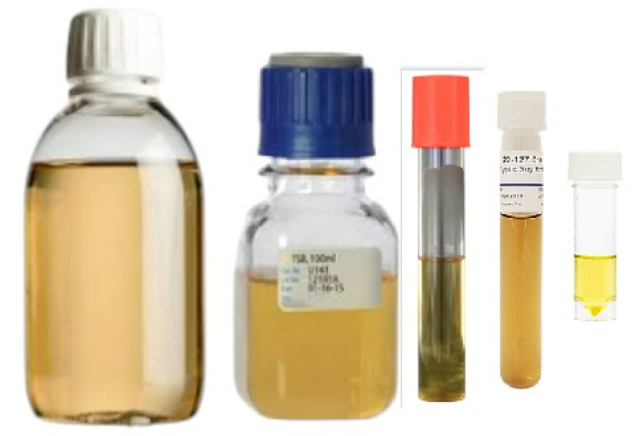 Ausmedia TSB Trypton Soya Broth, 10ml tube Bag/100 tubes