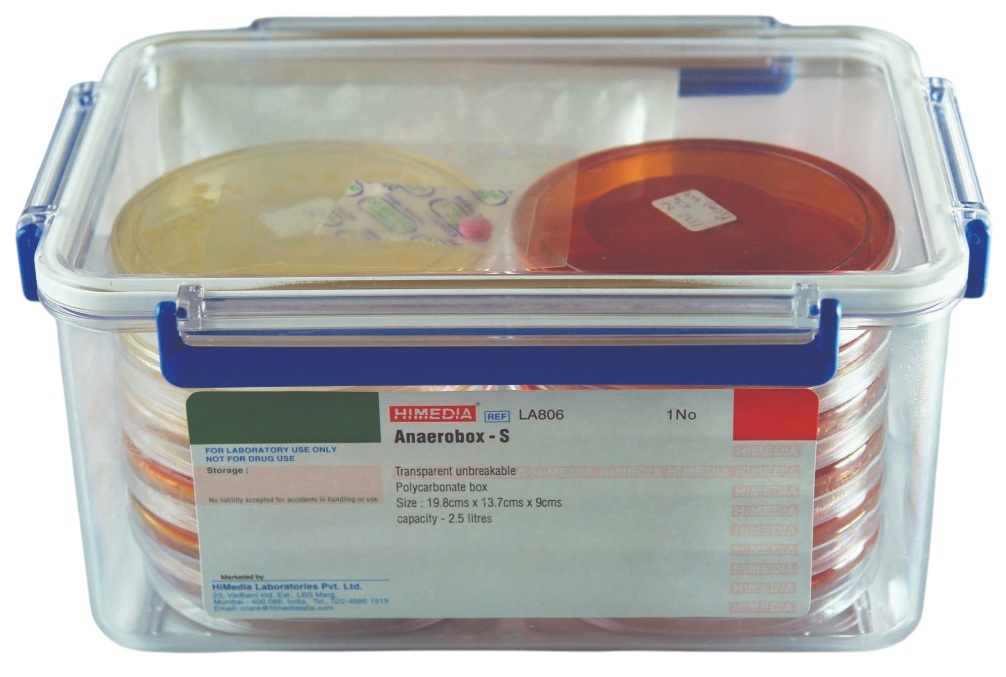 Anaero Box rectangular Small 2.5L