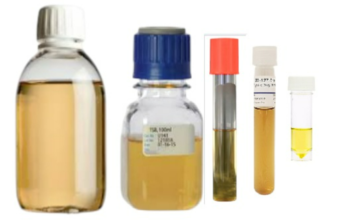 Related Product - 4066