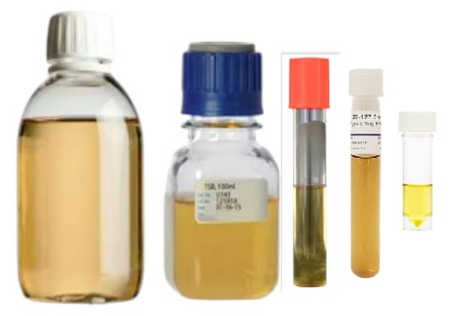 Ausmedia Peptone Water, in 120 ml Jar, 50 jars/pack