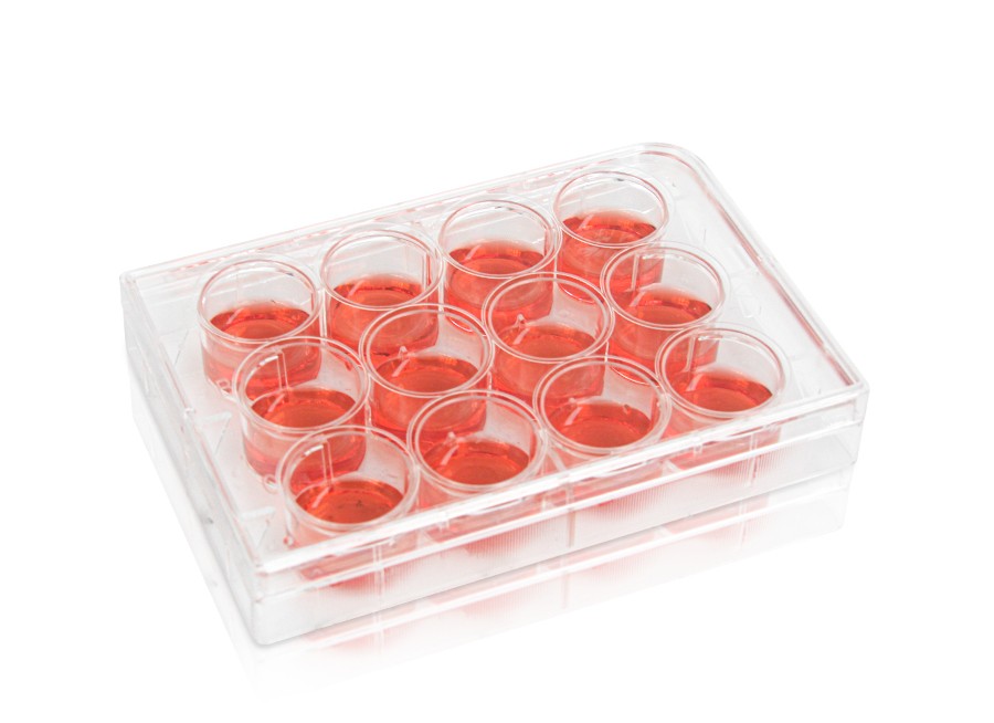Diaguru 12-Well Cell Culture Plate, 6.9ml Clear. Flat Bottom. Tissue Culture (TC) Treated; Plastic/Paper Individually wrapped, Sterile, 50/carton