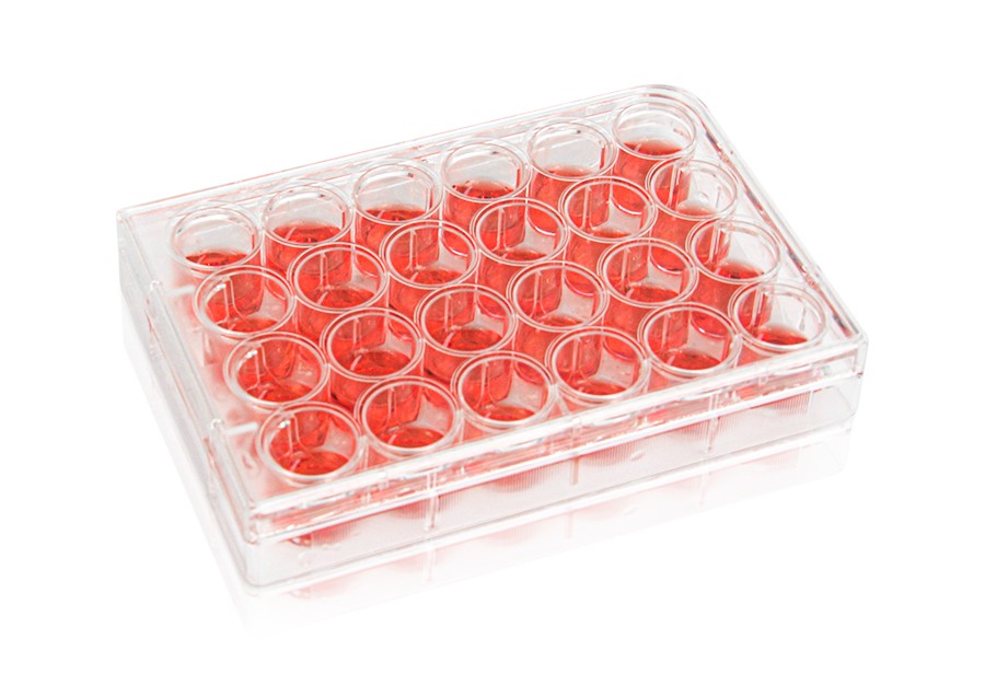 Diaguru 24-Well Cell Culture Plate, 3.4ml, Clear. Flat Bottom. Tissue Culture (TC) Treated; Plastic/Paper Individually wrapped, Sterile, 50/carton