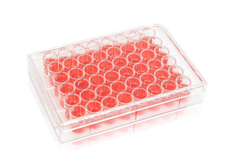 Diaguru 48-Well Cell Culture Plate, 1.6ml, Clear. Flat Bottom. Tissue Culture (TC) Treated; Plastic/Paper Individually wrapped, Sterile, 50/carton