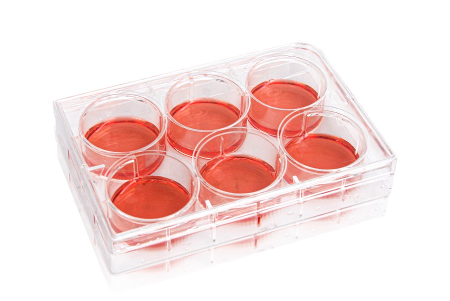 Diaguru 6-Well Cell Culture Plate, 16.8ml, Clear. Flat Bottom. Tissue Culture (TC) Treated; Plastic/Paper Individually wrapped, Sterile, 50/carton