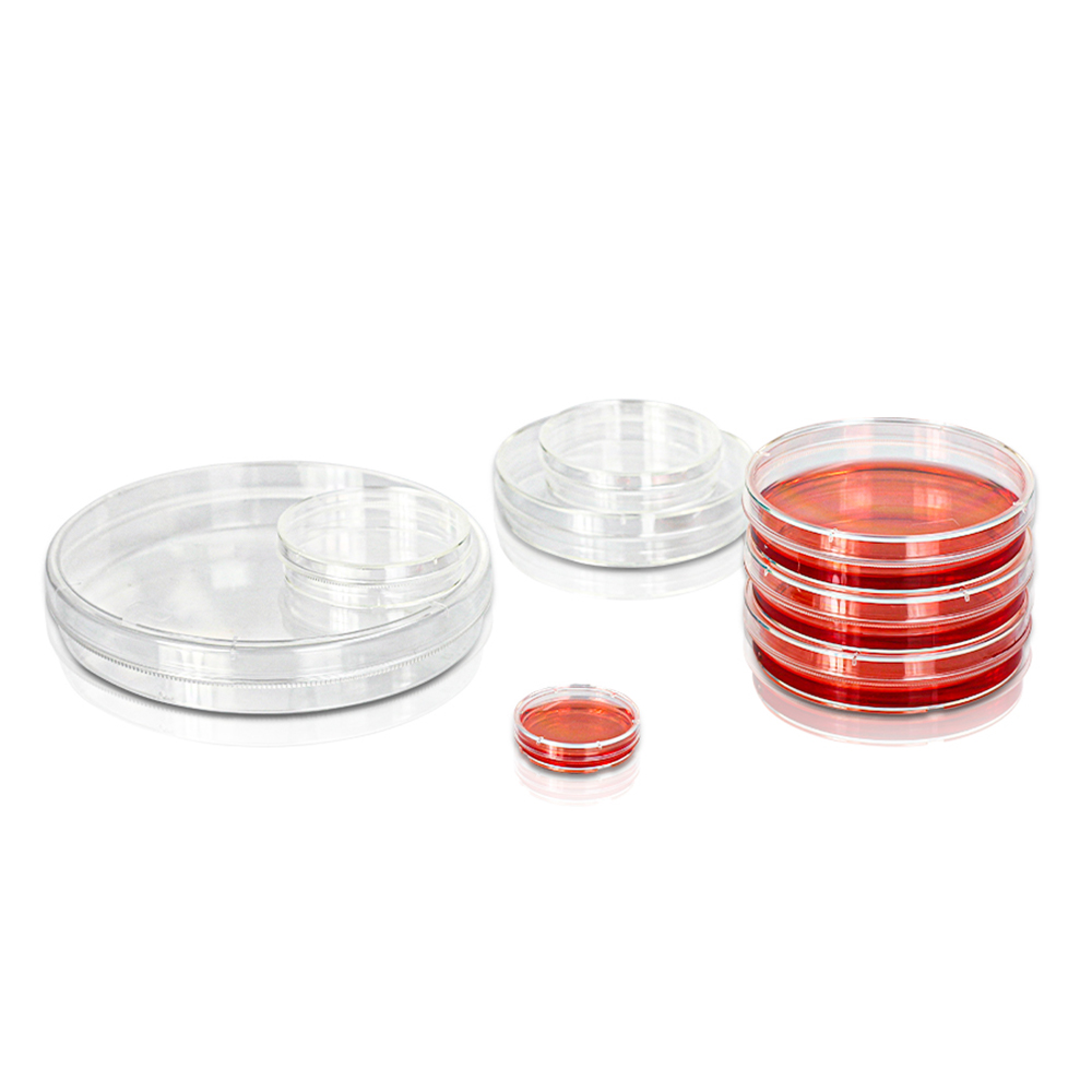 Diaguru 150mm Cell Culture Dish, 143.0cm2, tissue growth area, tissue Culture (TC) Treated; Easy-Grip. Sterile, 10pieces/bag; 8 bags/carton