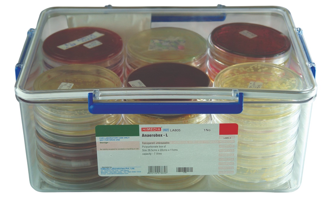 HiMedia Anaero Box Rectangular Large 7L