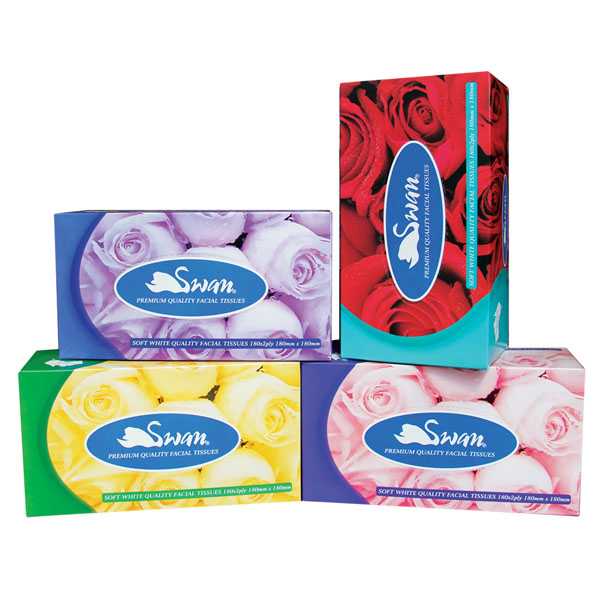 Swann Facial Tissues Box/180 36/ctn