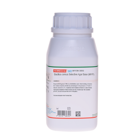 Related Product - 4845