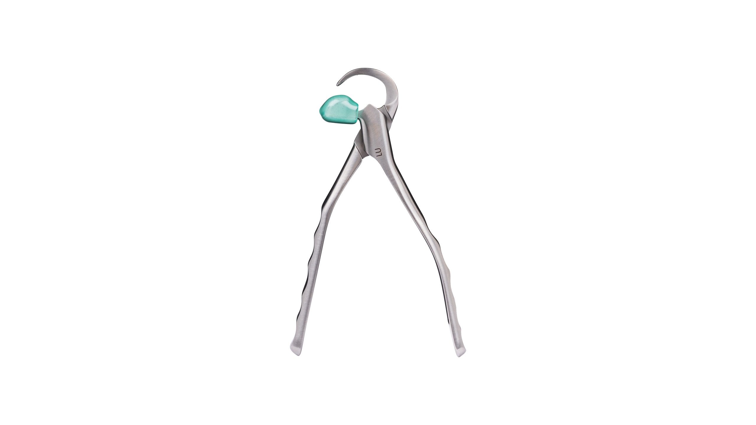 Directa Physics Forceps Lower Universal GMX 50; EACH