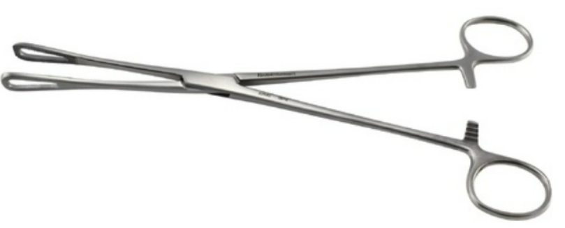 ARMO Sponge and Holding Forceps Rampley 18cm Disposable and Sterile