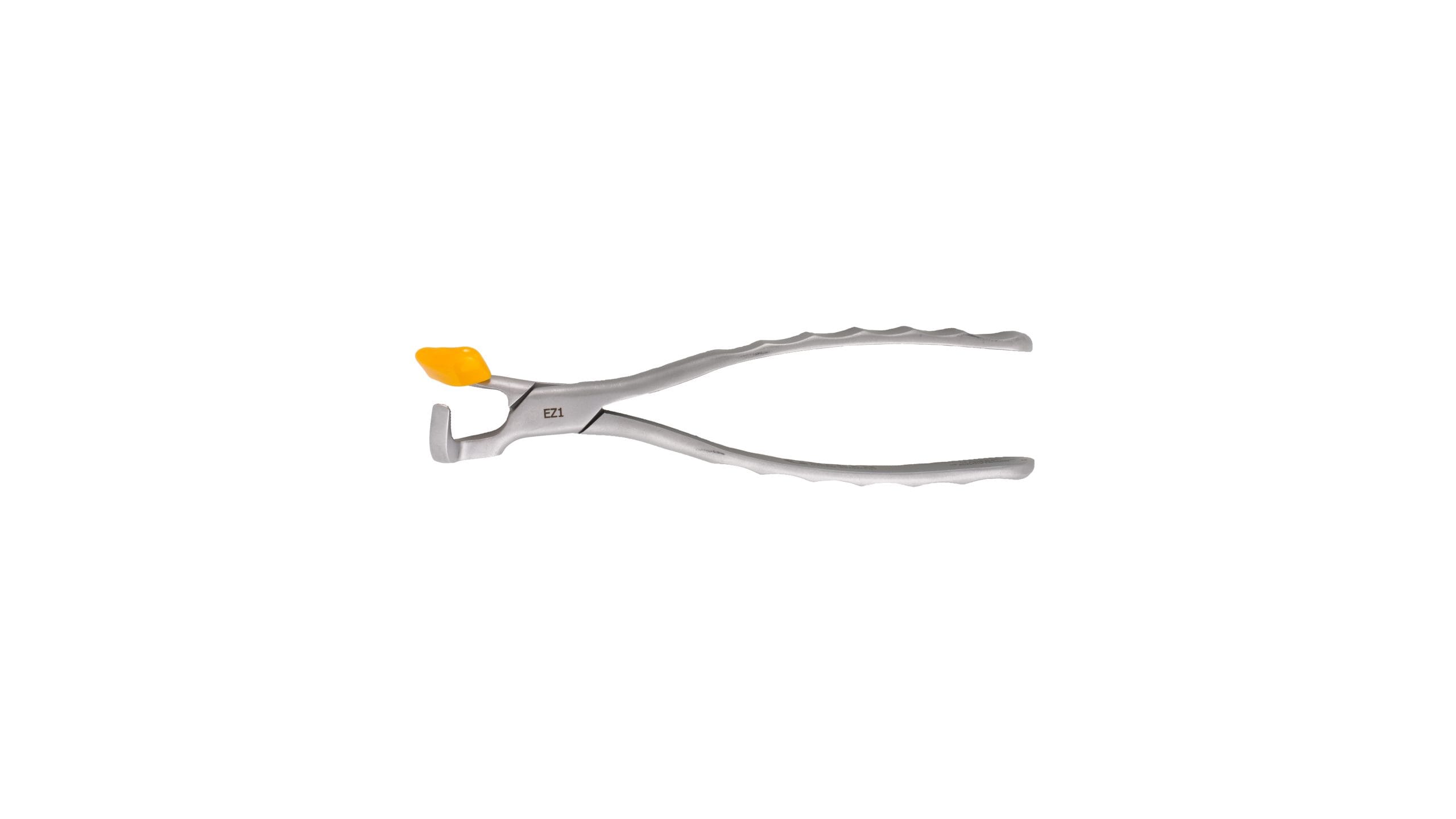 Directa Physics Forceps Molar Series GMX 400 EZ1 EACH