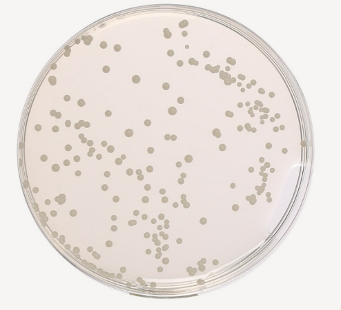 Related Product - 4068