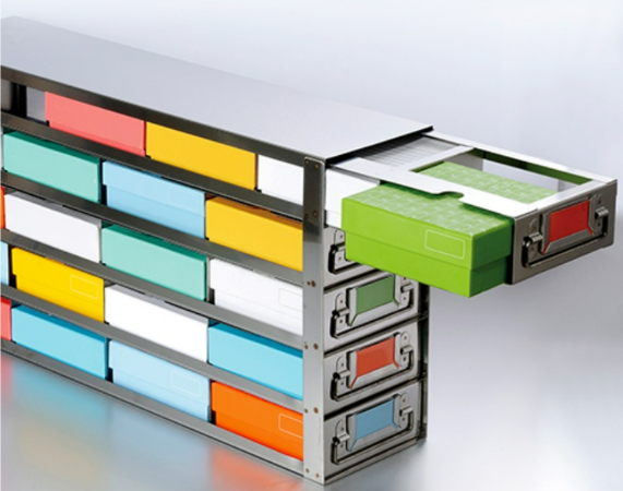 Biologix Side Access Drawer Freezer Racks 560×140×295mm Stainless Steel 4×5 Holds 20 Boxes with 2" Height 1 Piece/Case