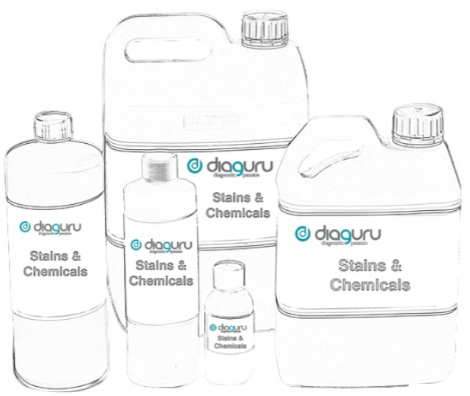 Xylene 10L in Plastic Drum